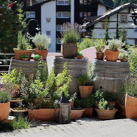 Ambiance 3* Zermatt